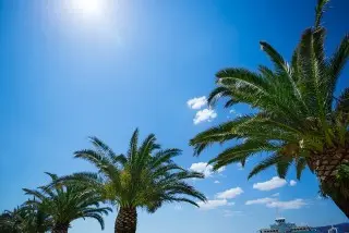 Aminess Grand Azur Hotel