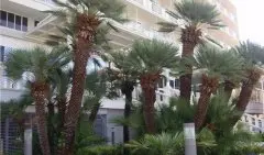 Hotel Petka