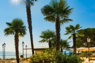 Hotel Mediteran
