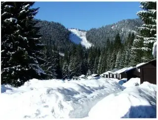 Jasna Bungalowy