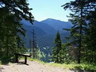 Jasna Bungalowy