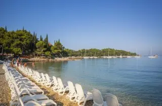 Hotel  Albatros opcja All Inclusive 