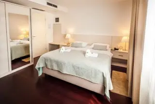 Hotel Borovnik