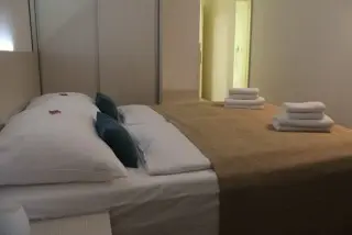 Hotel Borovnik