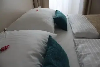 Hotel Borovnik