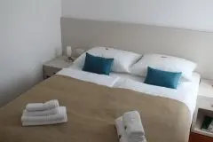 Hotel Borovnik