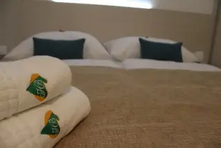 Hotel Borovnik