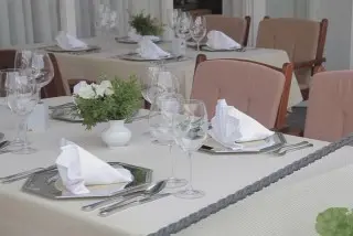 Hotel Borovnik
