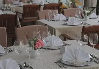 Hotel Borovnik