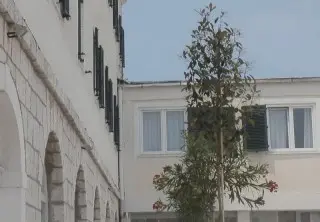 Hotel Borovnik