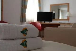 Hotel Borovnik
