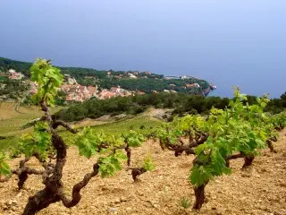 Hotel Villa Dalmacija