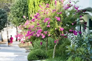 Zaton Holiday Resort