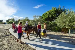 Zaton Holiday Resort