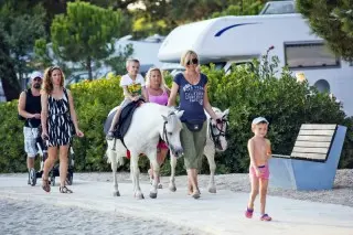 Zaton Holiday Resort - Mobil Homes