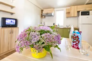 Zaton Holiday Resort - Mobil Homes