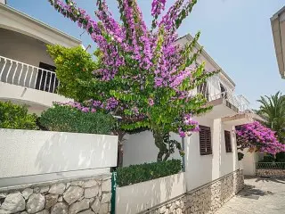 Apartmani Lavica
