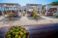 Hotel Lavanda