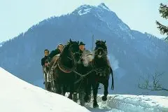 Haus Austria