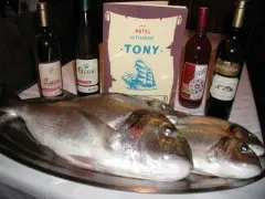 Hotel Tony