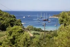 Hotel Issa