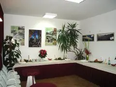 Hotel Vicko