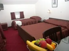 Hotel Vicko