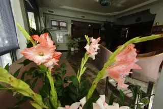 Villa Marija