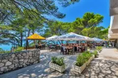 Hotel Alem 