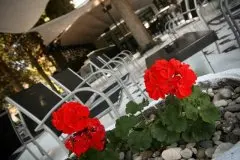 Hotel Dalmatino