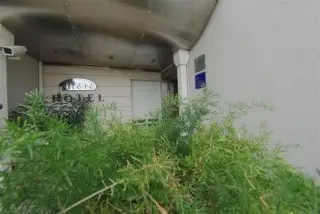 Hotel More