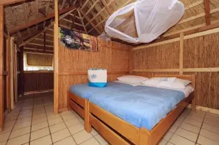 Pine Beach Pakośtane All inclusive Light