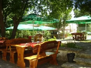 Park Hotel Zdravets opcja All Inclusive
