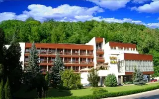 Hotel Flora