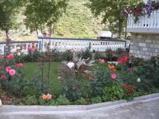 Apartmani Sekulić