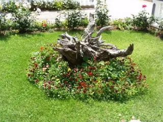 Apartmani Sekulić