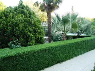 Ville Bećić Pokoje Gościnne 