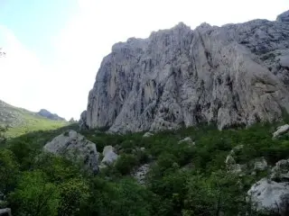 Pansion Roli 