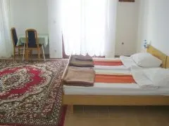 Pansion Roli 