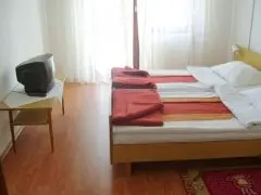 Pansion Roli 