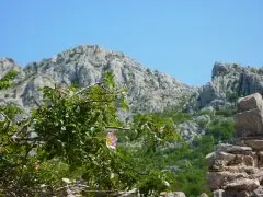 Pansion Roli 