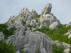 Pansion Roli 
