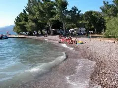 Pansion Roli 