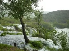 Pansion Roli 