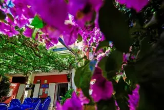 Hotel Villa Bojana