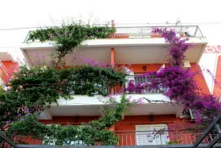 Hotel Villa Bojana