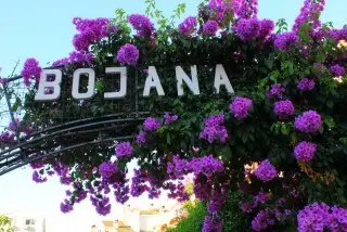 Hotel Villa Bojana