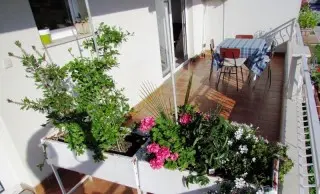 Villa Jadre