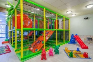 Wellness Hotel Borovica