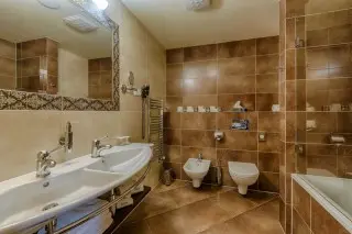 Wellness Hotel Borovica